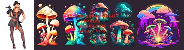 марки lsd Волоколамск