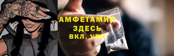 прущие грибы Волосово