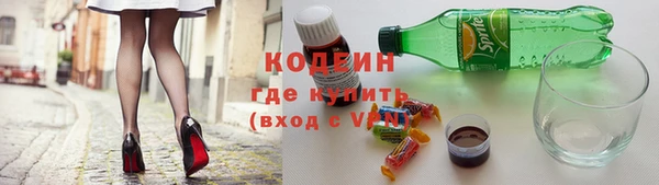 прущие грибы Волосово