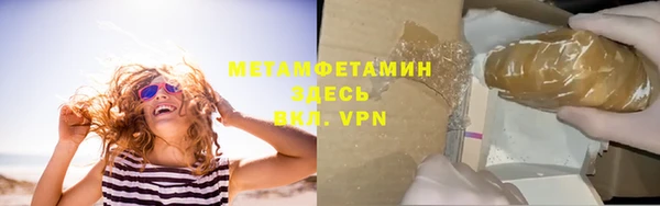 прущие грибы Волосово