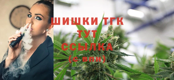 прущие грибы Волосово