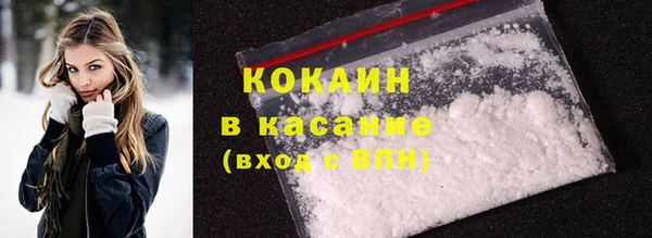 прущие грибы Волосово