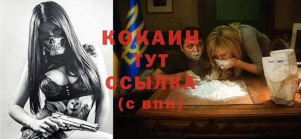 прущие грибы Волосово