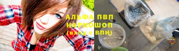 прущие грибы Волосово